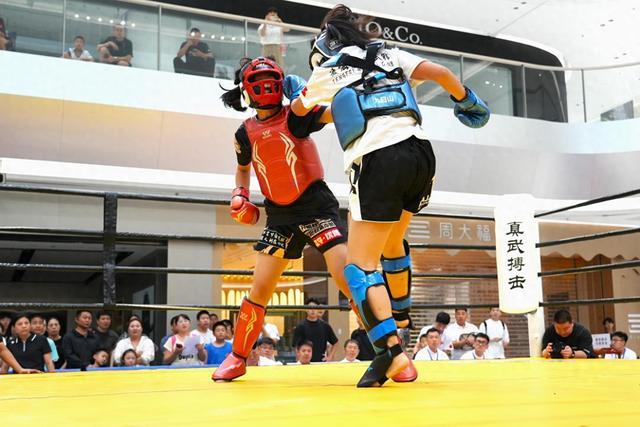 动的独特魅, 武术散打比, alt