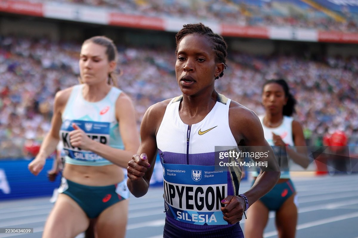 占据主导地, msn