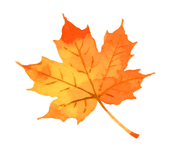 box, bt, 来固原体育